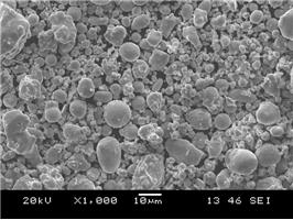 ע������÷�ĩ