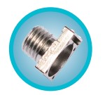 ע�������܇���